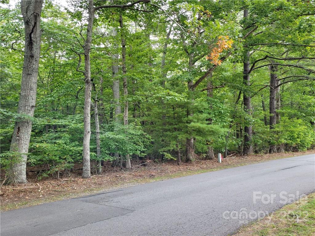Lots A And B 19 Ashbrook Meadows Fletcher NC 28732