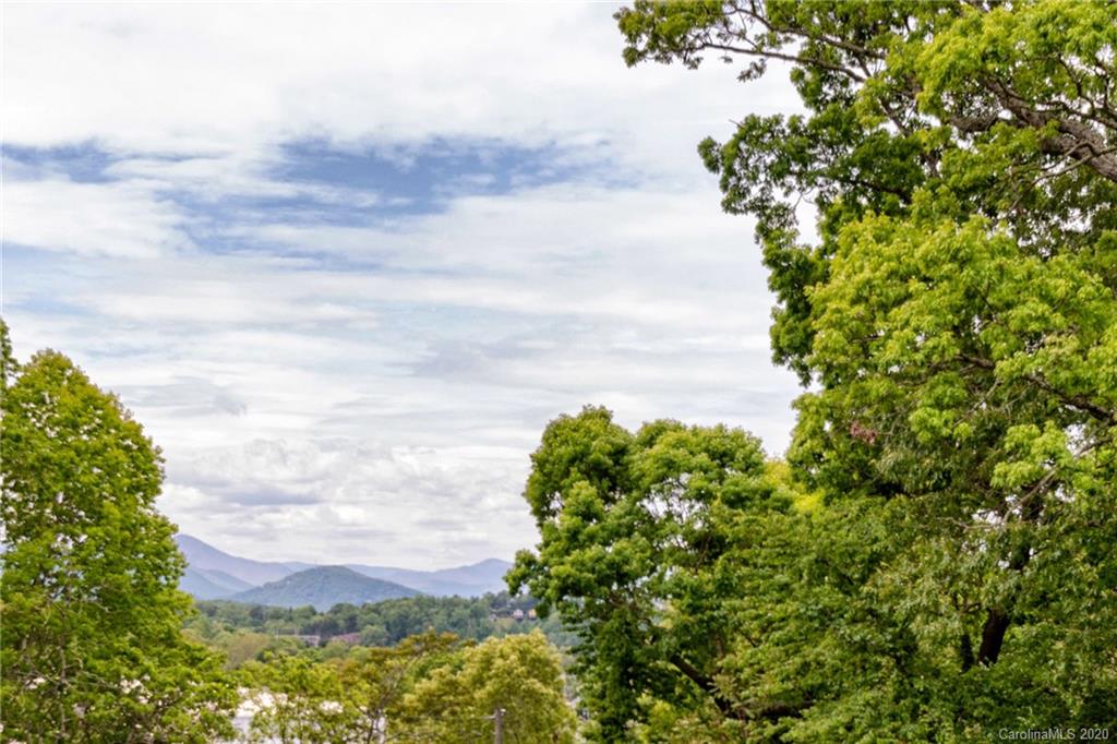 24 White Fawn Drive Asheville NC 28801
