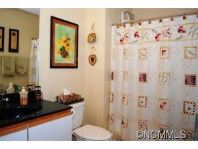 100 Creeks End Circle Mills River NC 28759