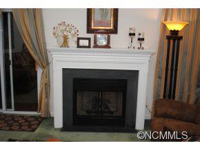 100 Creeks End Circle Mills River NC 28759