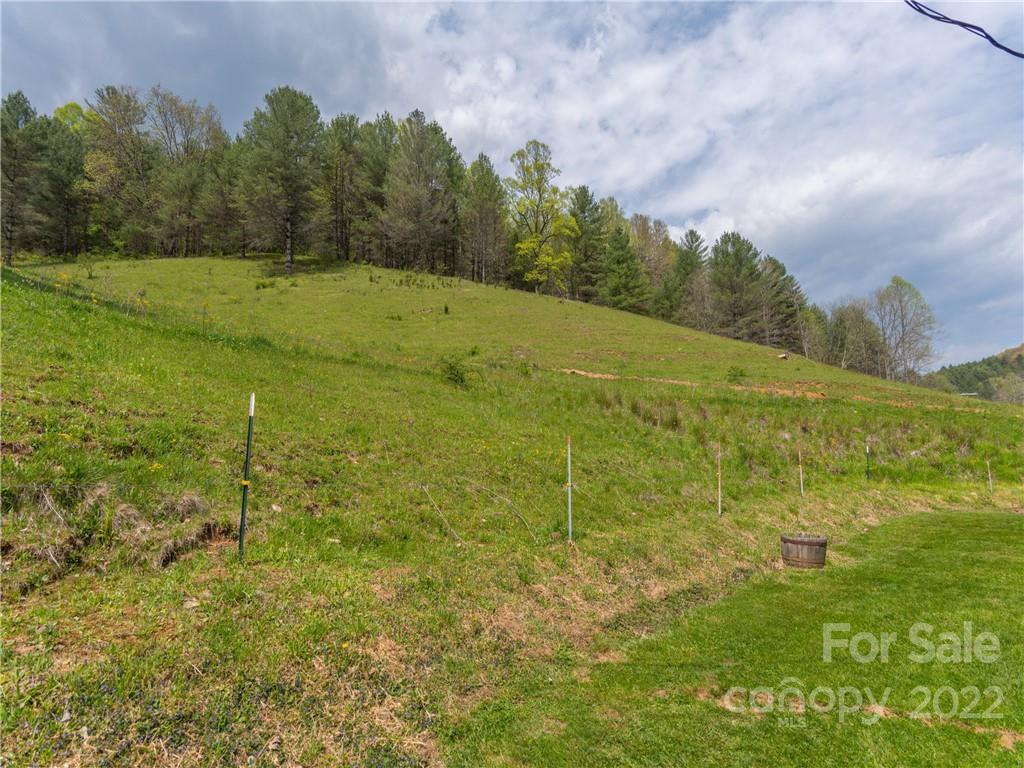 9165 Jacks Creek Road Green Mountain NC 28740