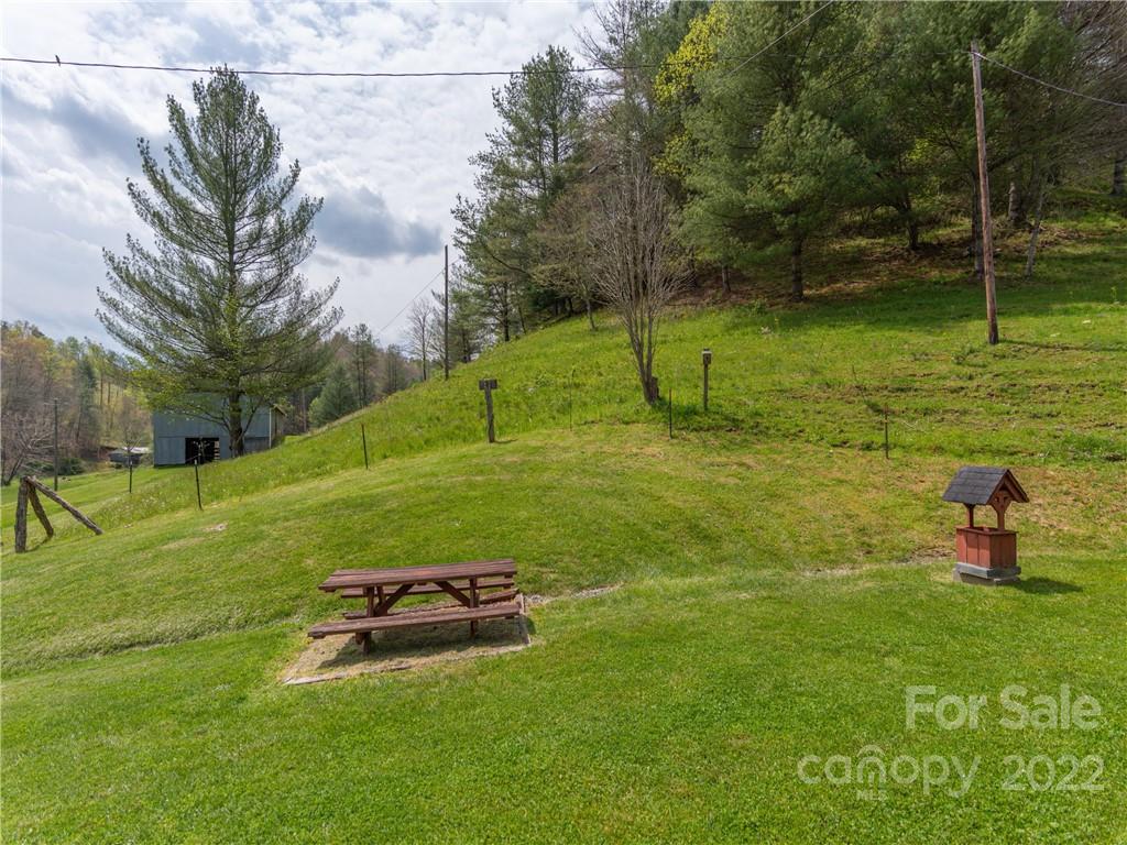 9165 Jacks Creek Road Green Mountain NC 28740