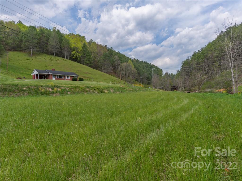 9165 Jacks Creek Road Green Mountain NC 28740
