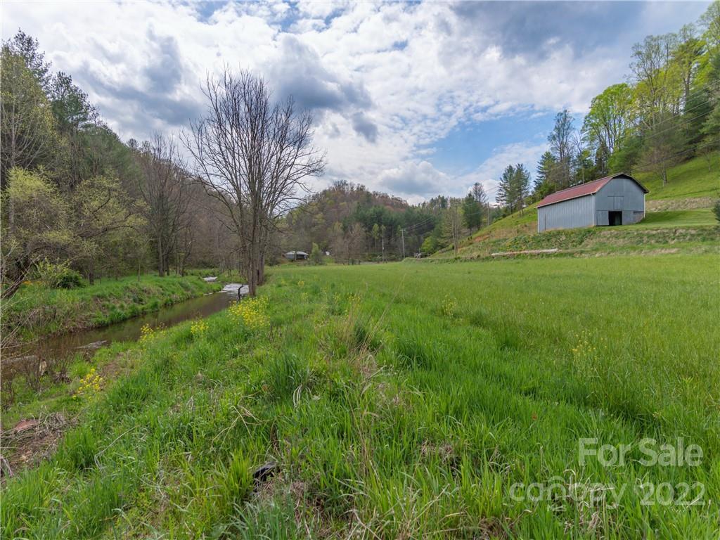 9165 Jacks Creek Road Green Mountain NC 28740