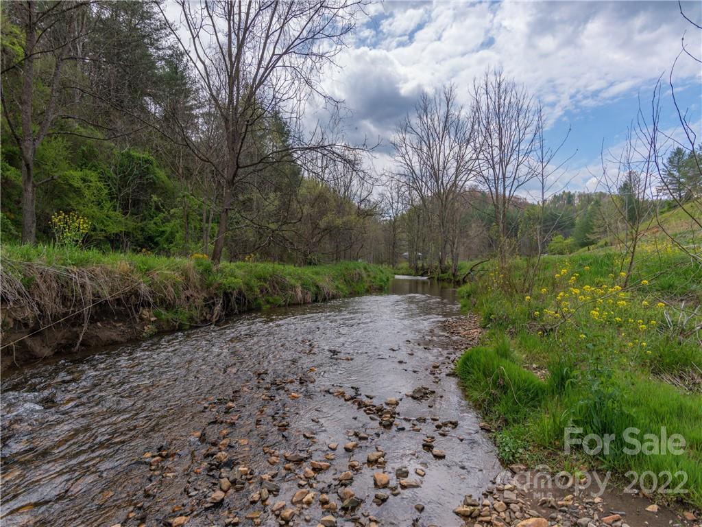 9165 Jacks Creek Road Green Mountain NC 28740
