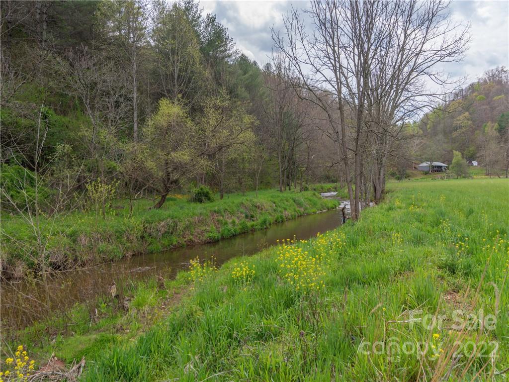 9165 Jacks Creek Road Green Mountain NC 28740