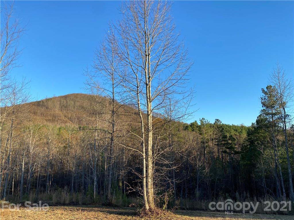 221 Pilot Ridge Road Nebo NC 28761