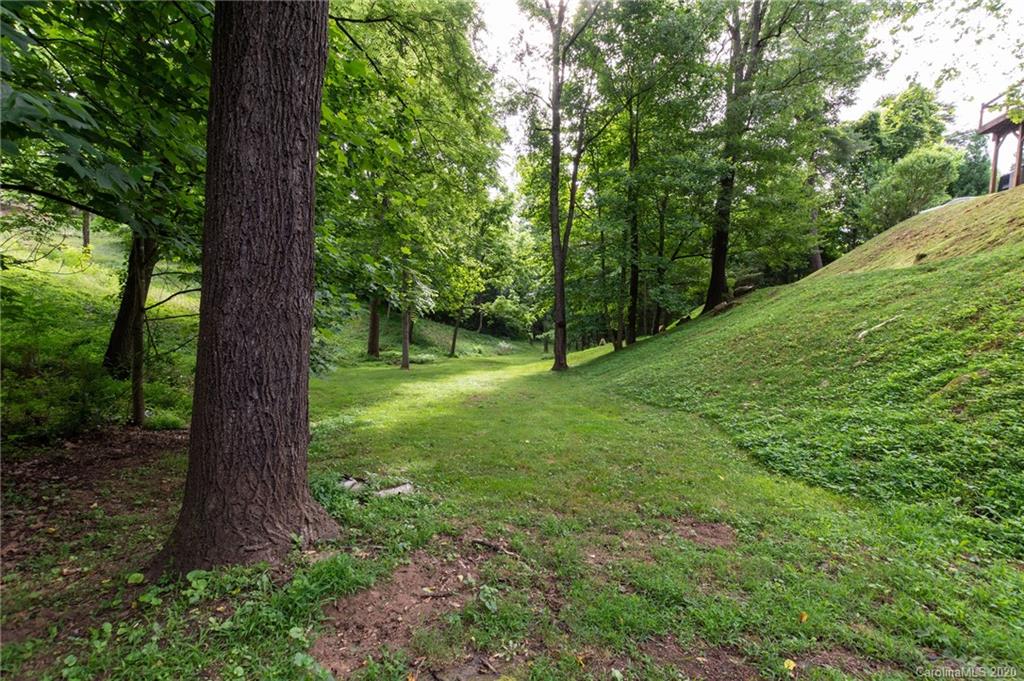 51 Mills Place Asheville NC 28804
