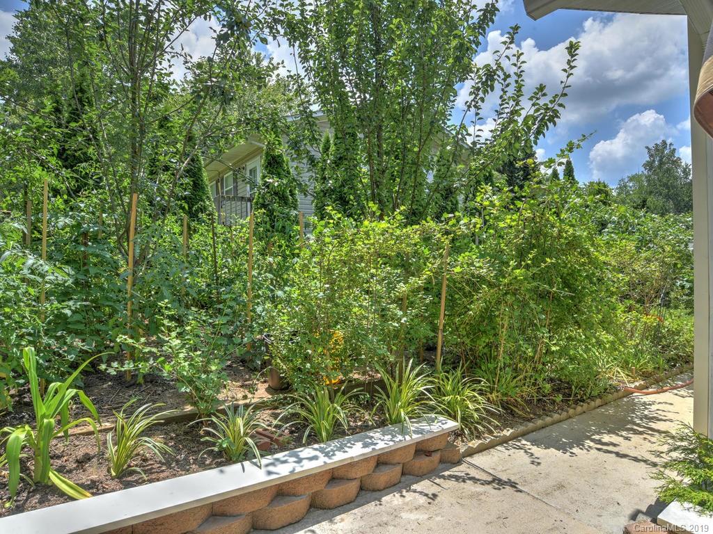 12 Peeler Drive Asheville NC 28803