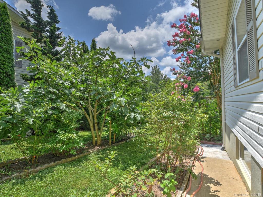 12 Peeler Drive Asheville NC 28803