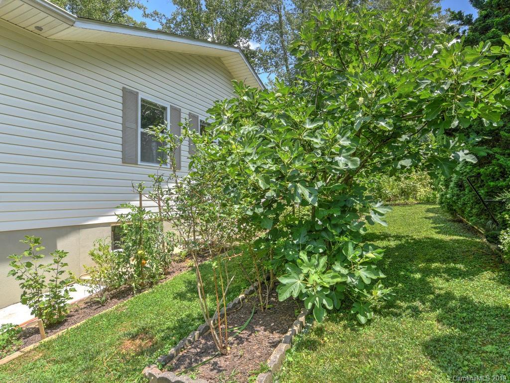 12 Peeler Drive Asheville NC 28803