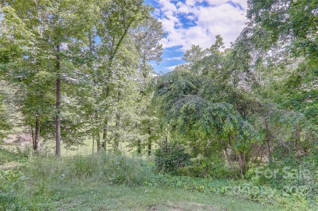 6 Scarlet Ridge Weaverville NC 28787