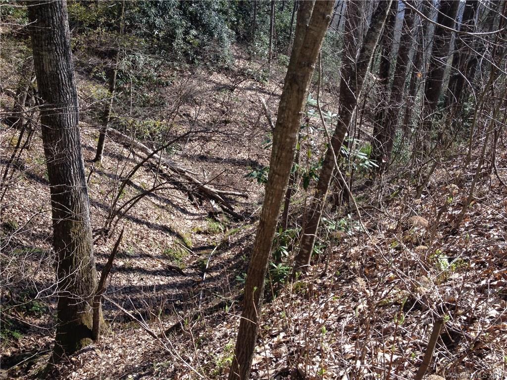 373 Sugar Hollow Road Fairview NC 28730