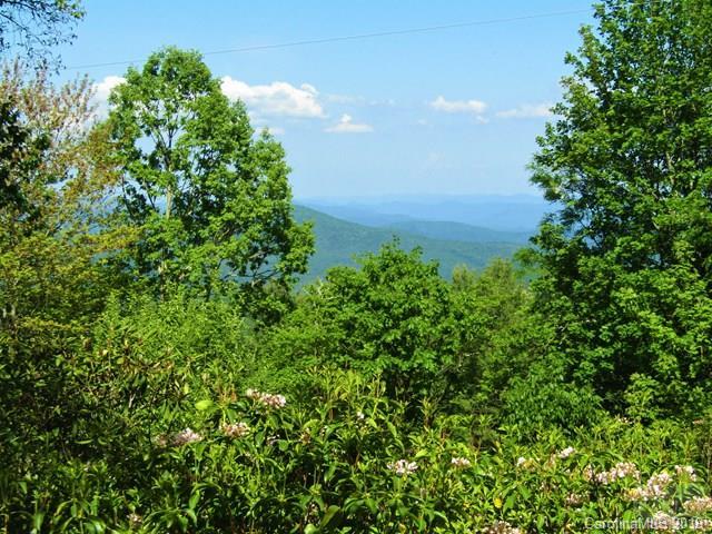 7075 Table Rock Road Newland NC 28657