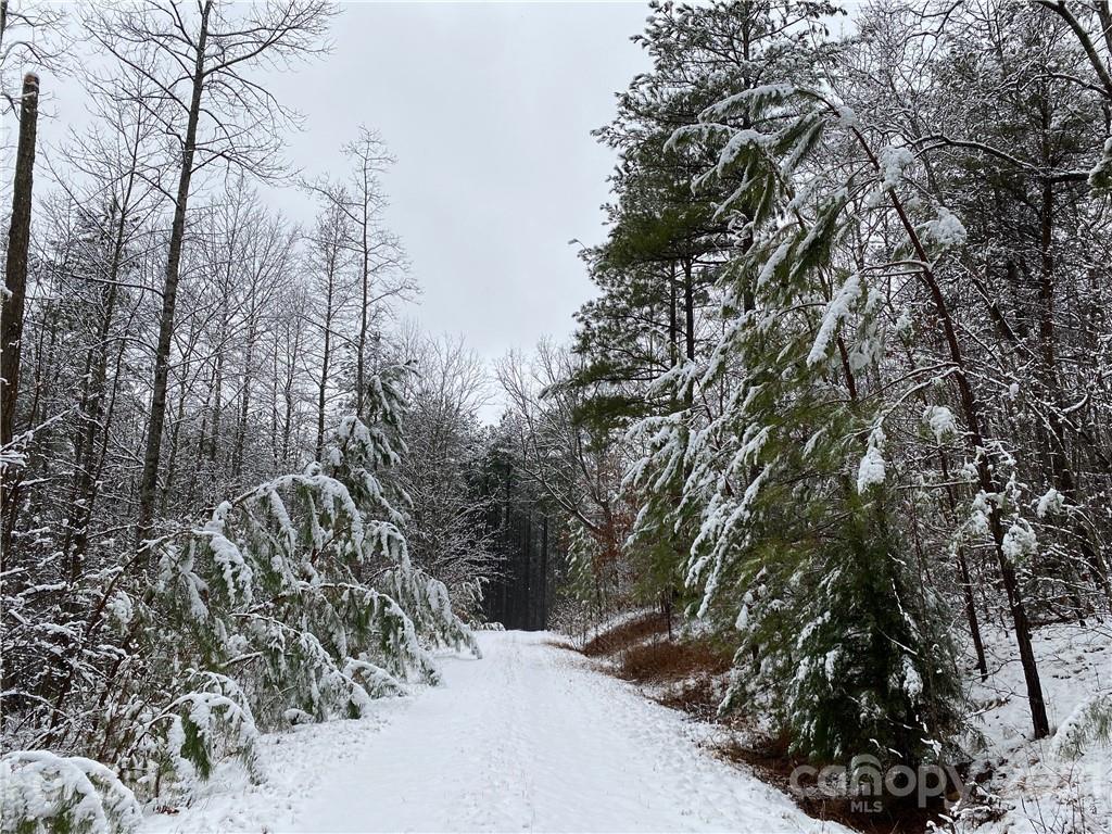 429 Pilot Ridge Road Nebo NC 28761