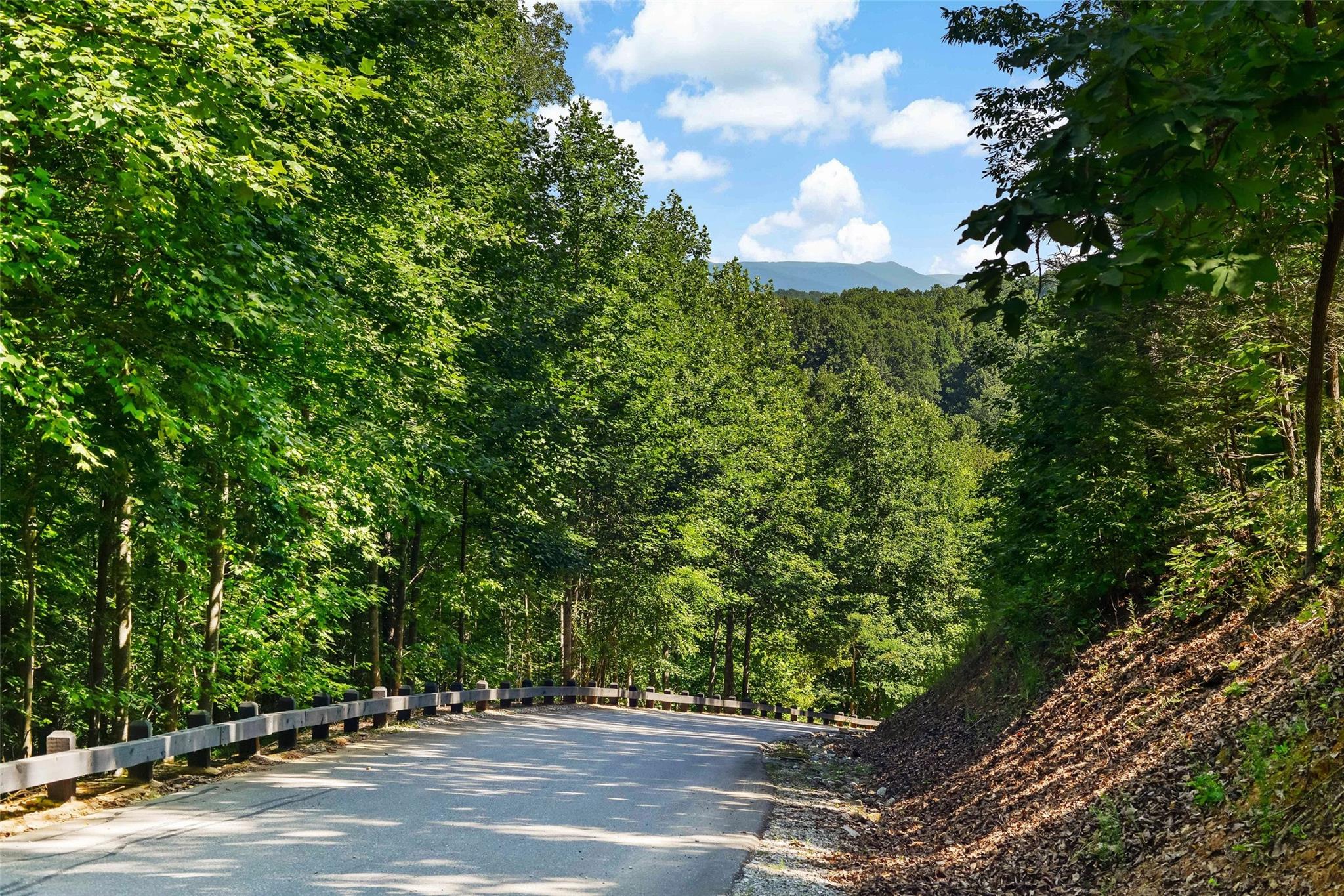 187 Forest Country Drive Marion NC 28752