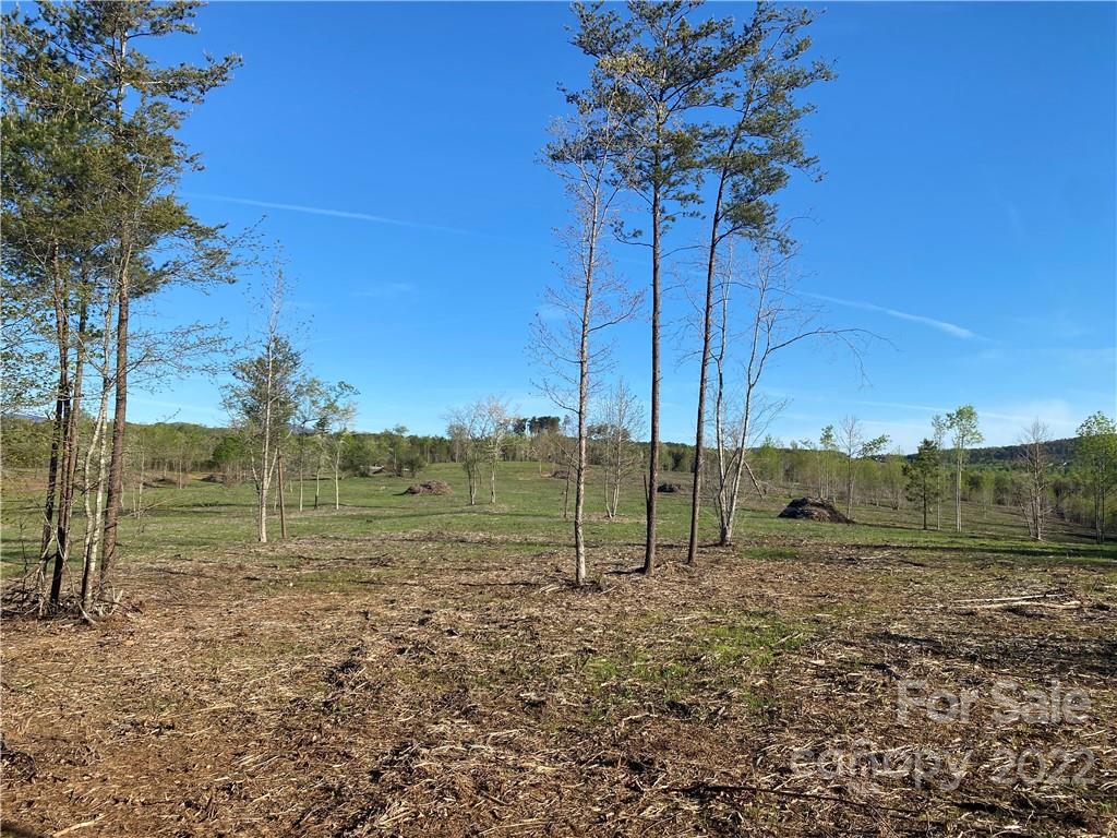 3242 Landrum Road Columbus NC 28722