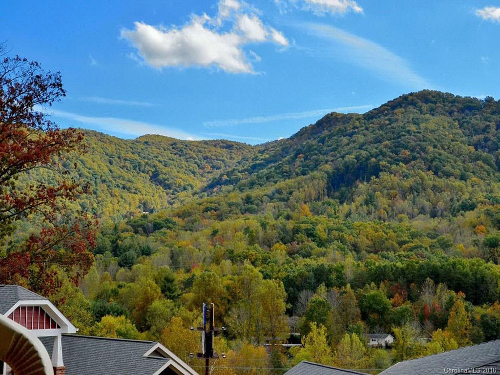 18 Byrdcliffe Lane Asheville NC 28805