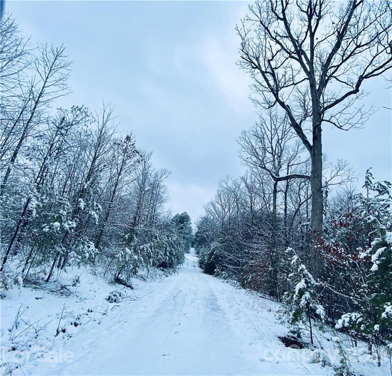 159 Pilot Ridge Road Nebo NC 28761