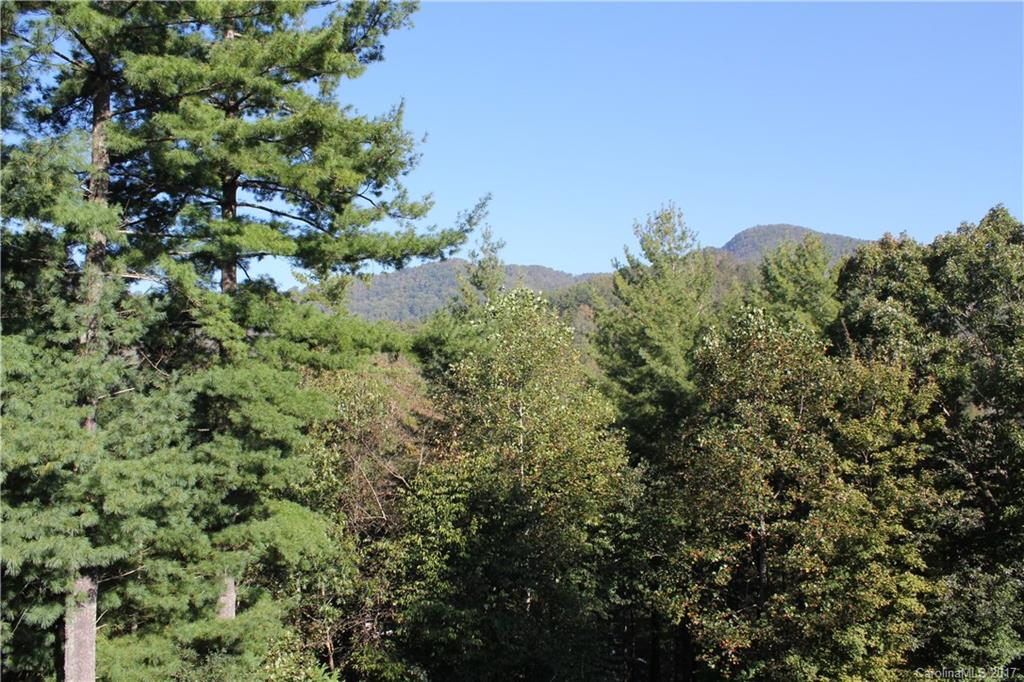 11 Hunter Kilby Road Swannanoa NC 28778