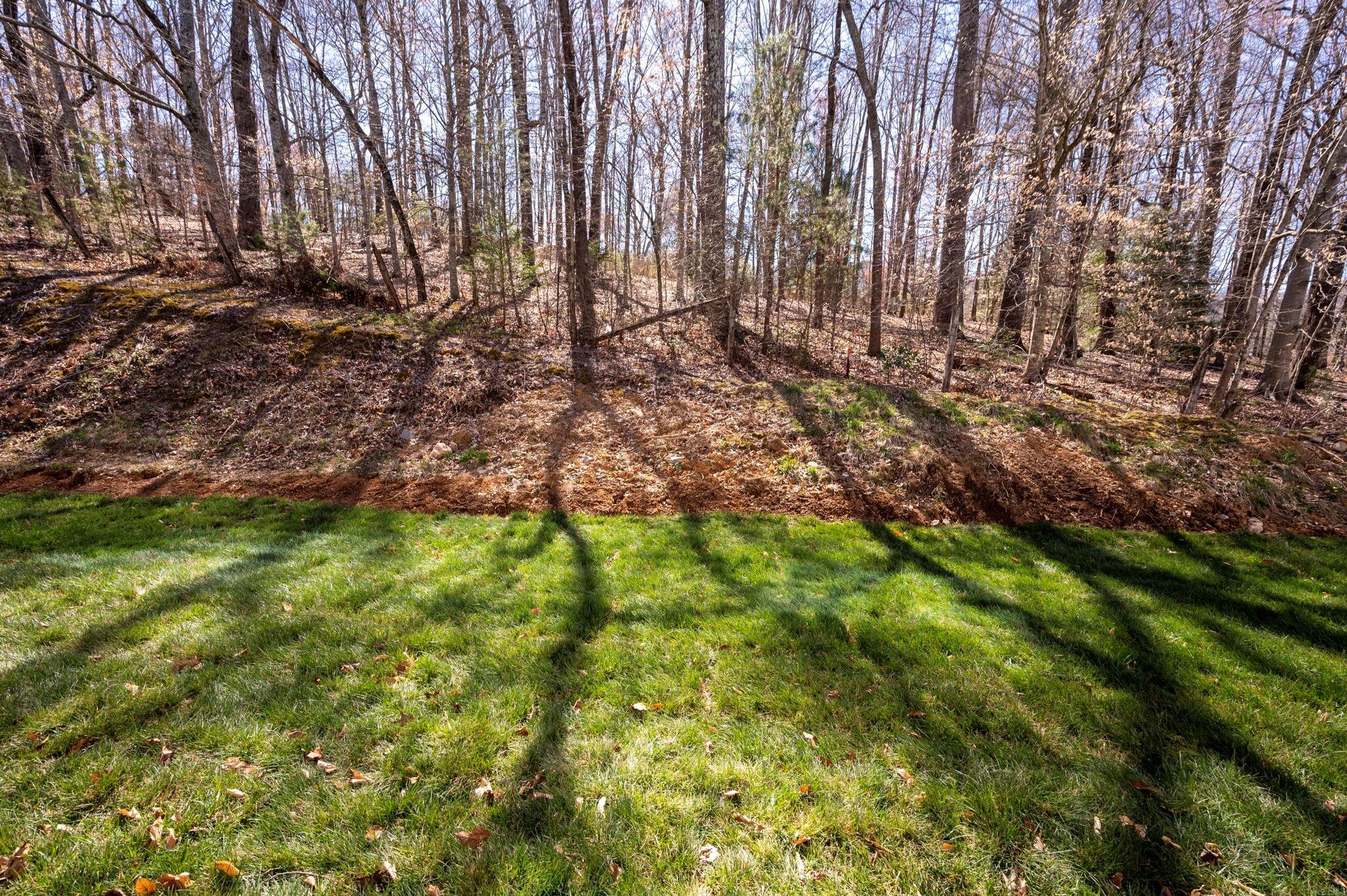 29 Cherry Laurel Lane Swannanoa NC 28778