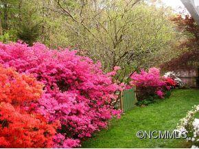 90 Webb Cove Road Asheville NC 28804