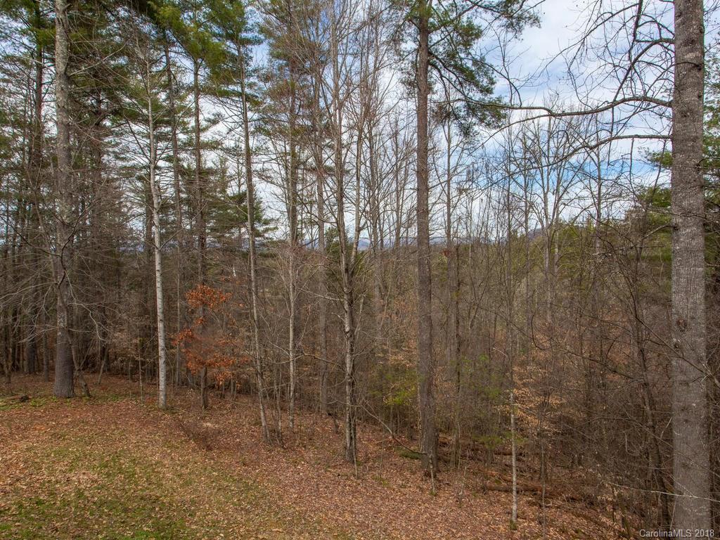 155 Elkins Branch Road Weaverville NC 28787