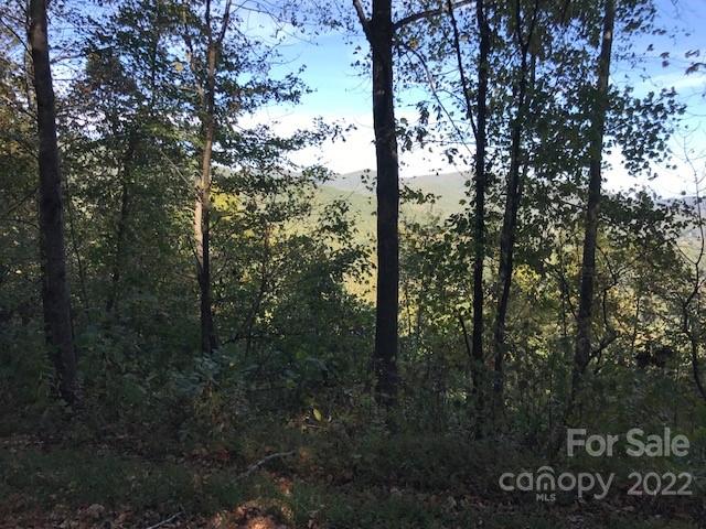 Tbd Pinnacle Drive Black Mountain NC 28711