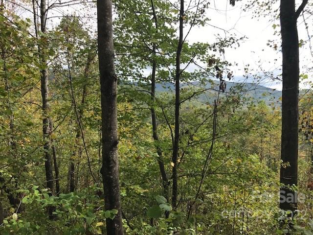 Tbd Pinnacle Drive Black Mountain NC 28711