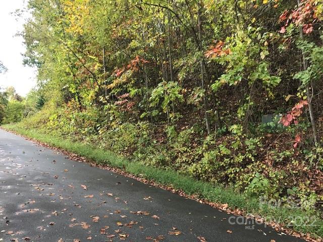 Tbd Pinnacle Drive Black Mountain NC 28711