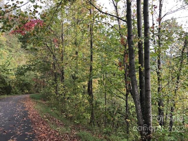 Tbd Pinnacle Drive Black Mountain NC 28711