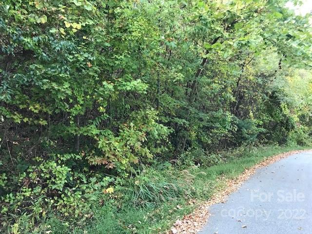 Tbd Pinnacle Drive Black Mountain NC 28711