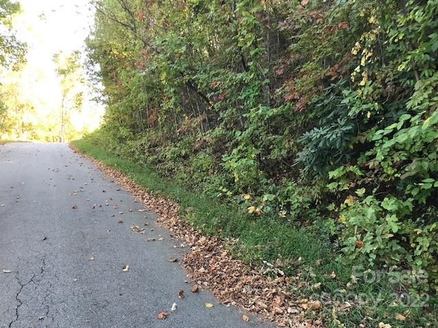 Tbd Pinnacle Drive Black Mountain NC 28711