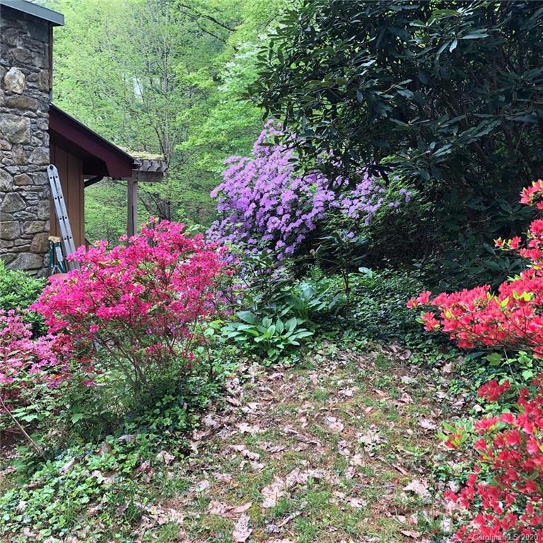 42 Teaberry Lane Weaverville NC 28787