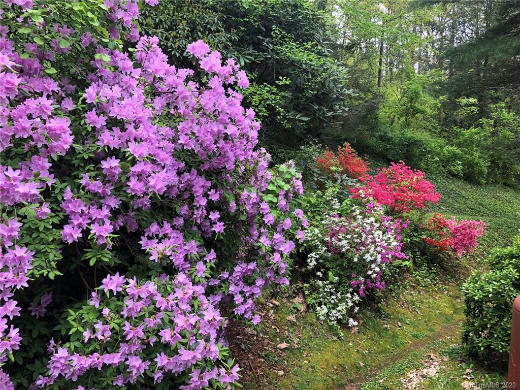 42 Teaberry Lane Weaverville NC 28787