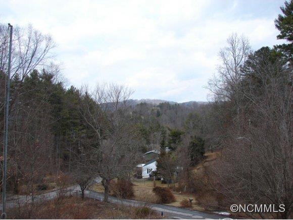 5 Spring Cove Terrace Asheville NC 28804