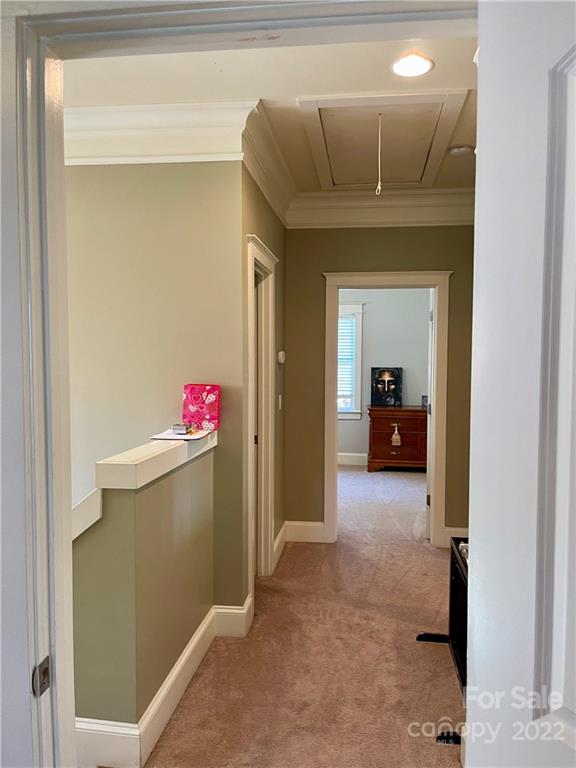 1524 Carolyn Drive Charlotte NC 28205