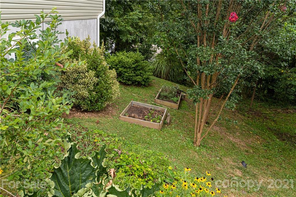 6 Crescent Street Asheville NC 28804