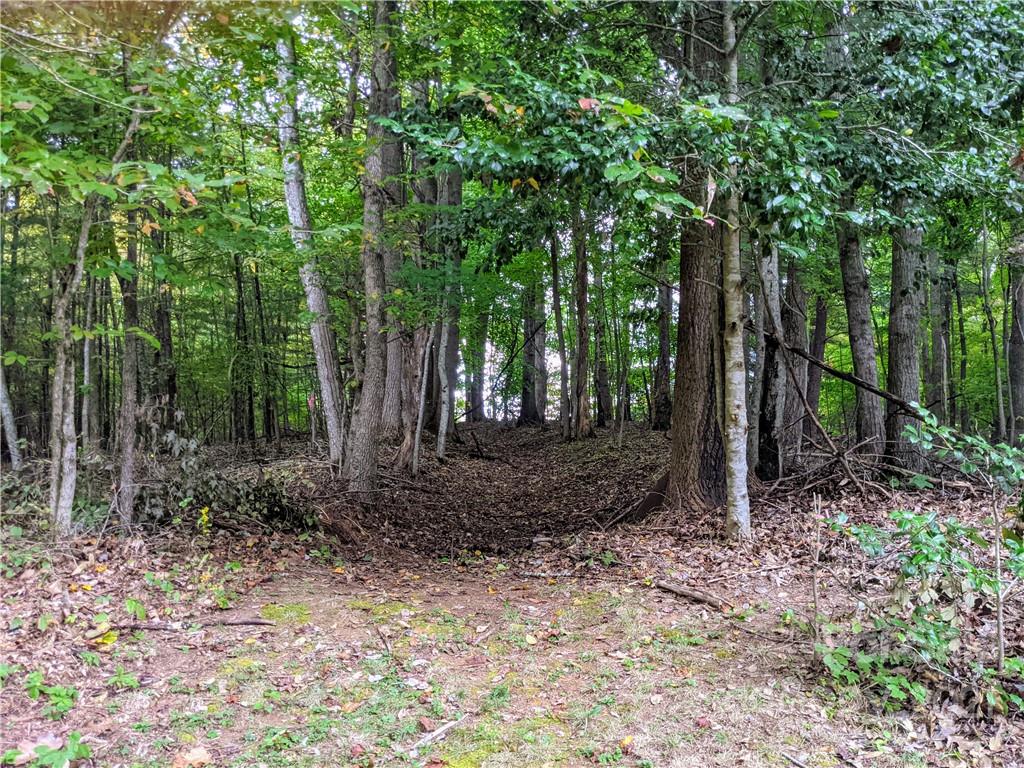 675 Hunter Street Burnsville NC 28714