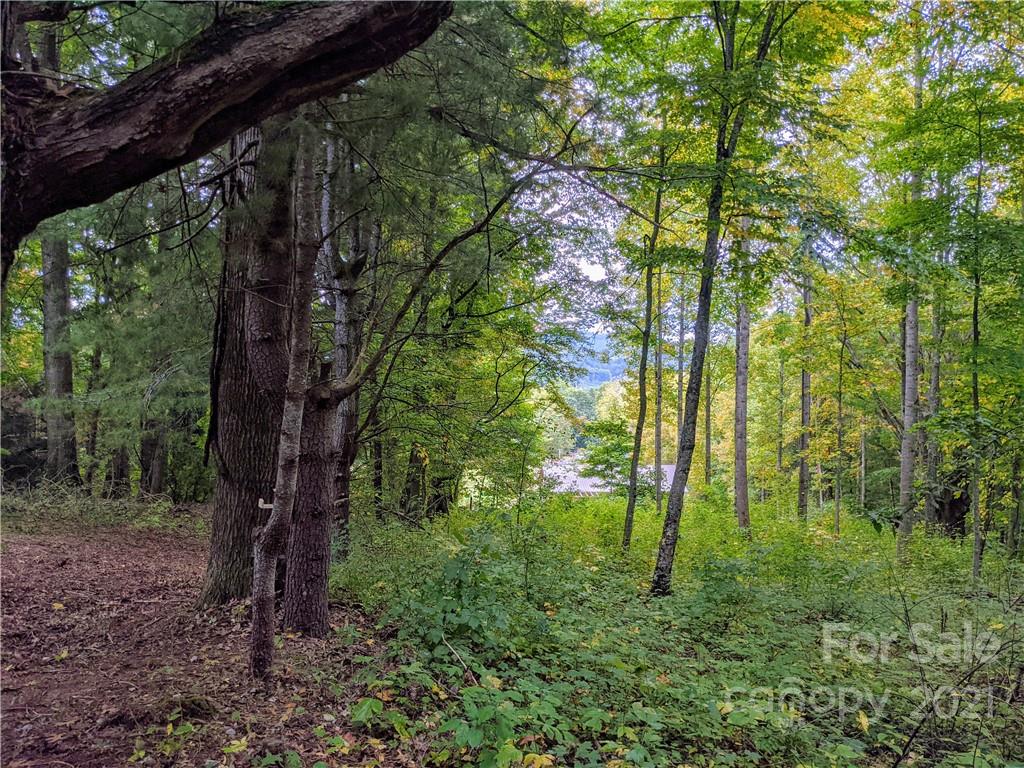 675 Hunter Street Burnsville NC 28714