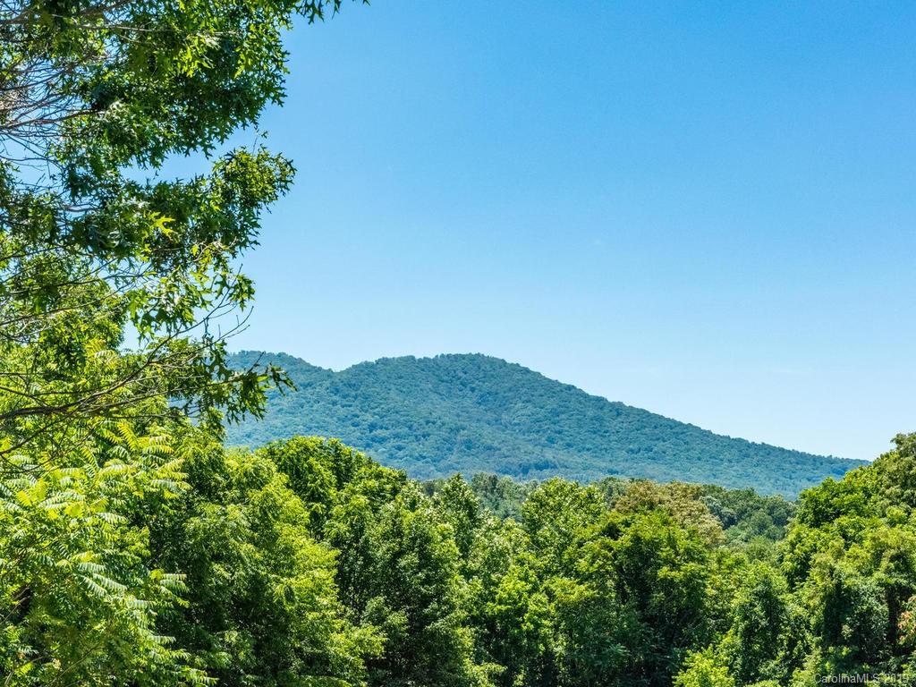 12 Cypress Drive Asheville NC 28803