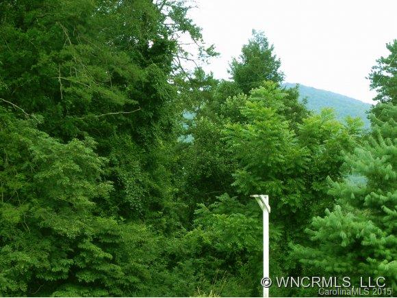 28 Birchwood Lane Asheville NC 28805