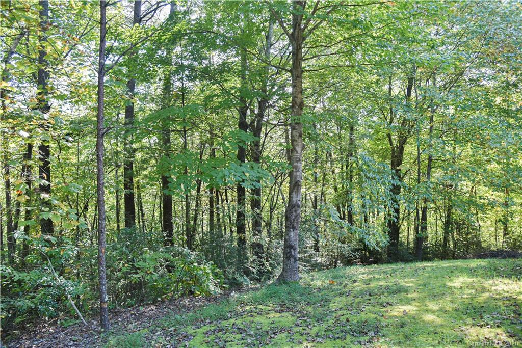 877 Deep Woods Drive Marion NC 28752