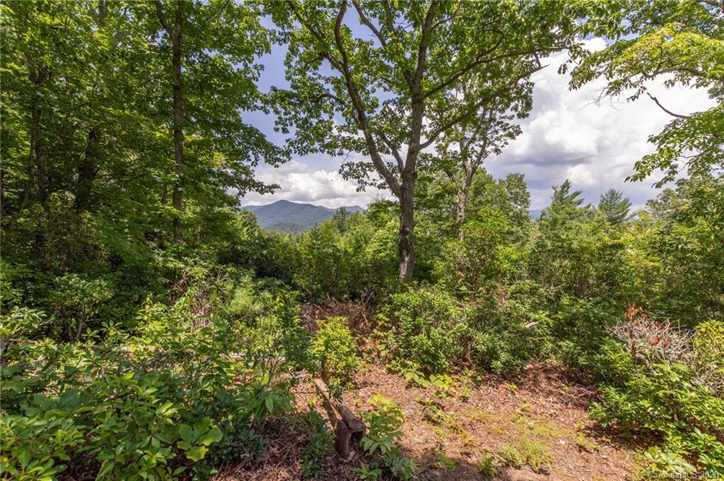 23 Patriots Drive Asheville NC 28805