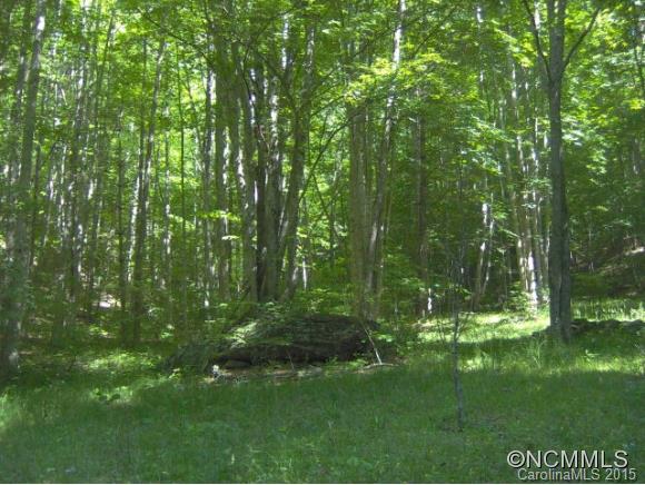 175 Kingfisher Lane Burnsville NC 28714