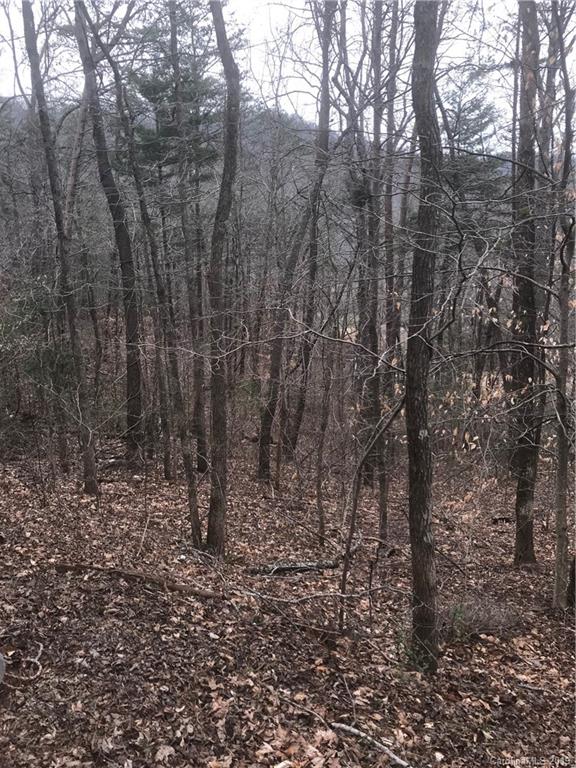 37 Fuller Lane Asheville NC 28805