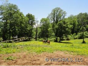 362 Pinners Cove Road Asheville NC 28803