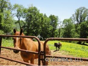 362 Pinners Cove Road Asheville NC 28803