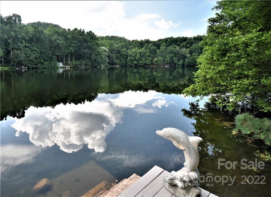 11 Echo Lake Drive Fairview NC 28730