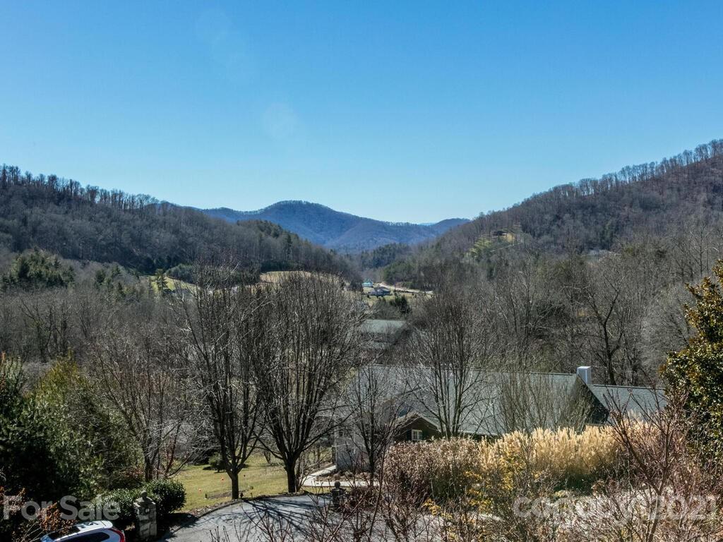106 Thistle Tree Way Weaverville NC 28787